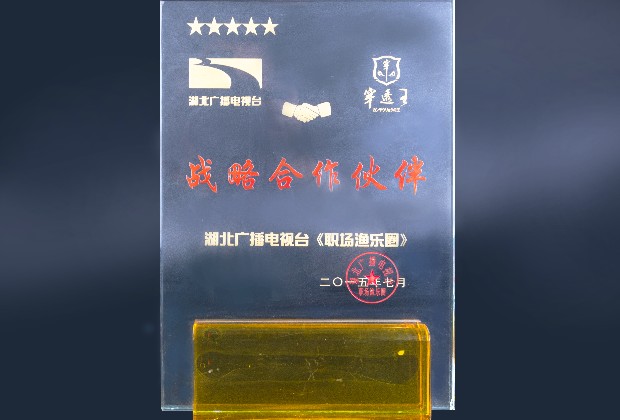 湖北電視臺戰(zhàn)略合作伙伴.jpg