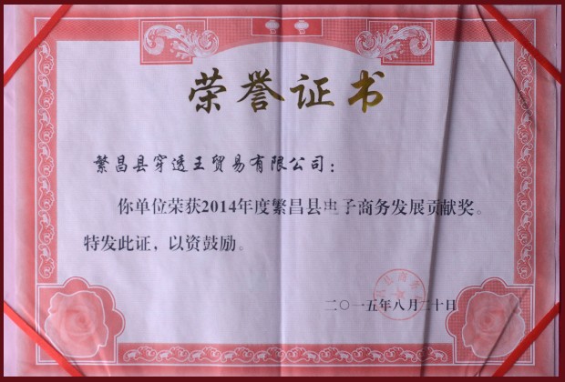 2014-繁昌縣-電子商務(wù)發(fā)展貢獻(xiàn)獎(jiǎng).jpg