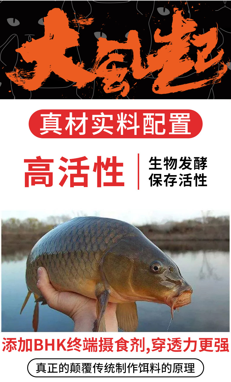 新鯽透2號_03.jpg