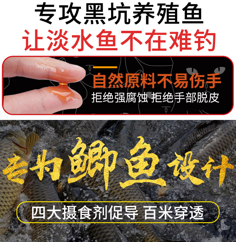新鯽透2號_04.jpg