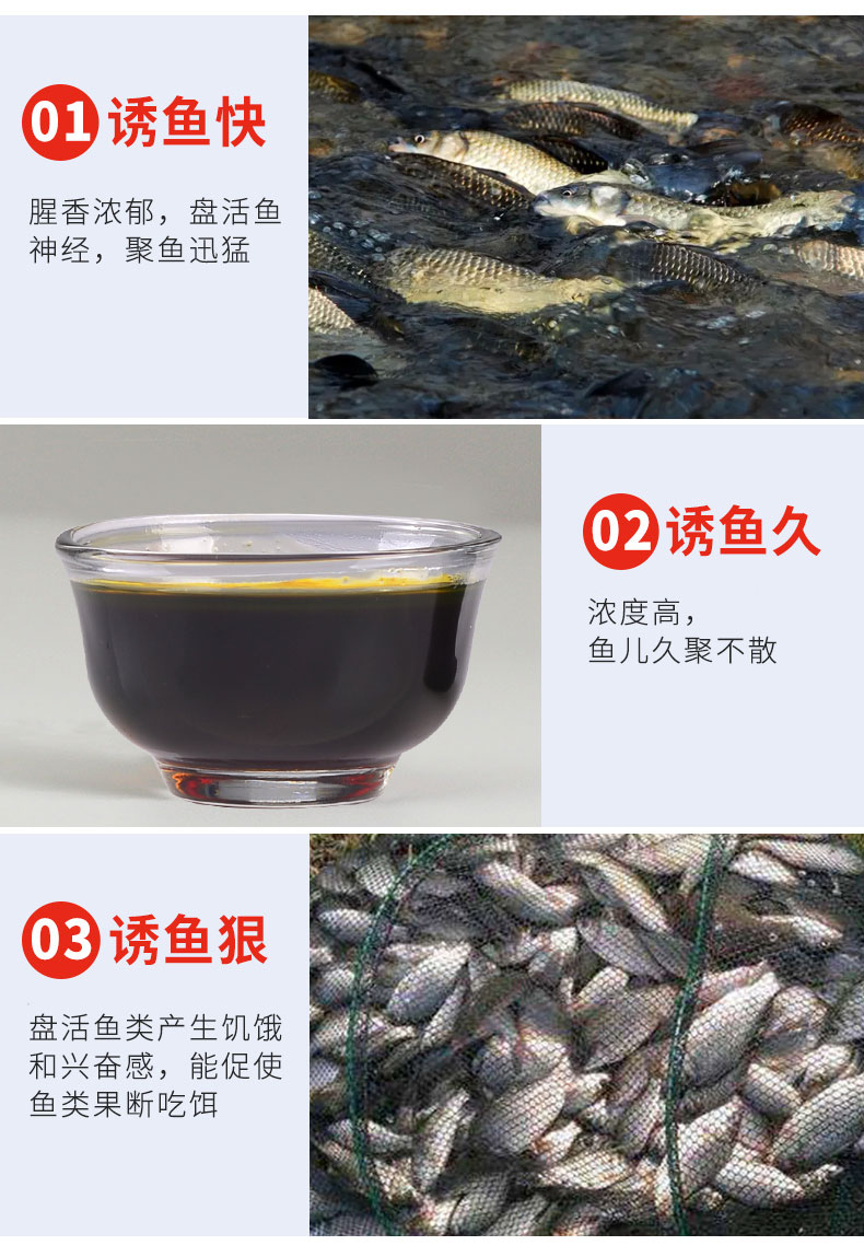 鯽透123_04.jpg