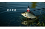 夏季野釣鯽魚有啥秘訣？答案驚人！