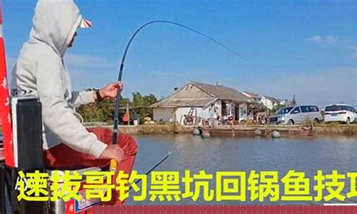 鯉魚黑坑偷驢技巧詳解
